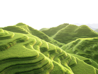 Beautiful Green Terraced Hills Landscape on Bright Sunny Day