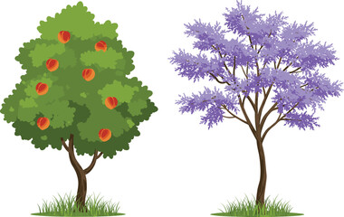 Fototapeta premium Peach tree with ripe fruits and jacaranda tree full of purple blossoms, seasonal orchard illustration, nature, spring garden, botanical background.