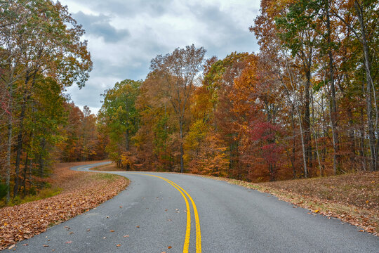 Scenic view of the Natchez Trace Parkway in autumn, with a curving two-lane road winding through colorful fall foliage in Tennessee. Peaceful, tree-lined route known for historic and natural beauty