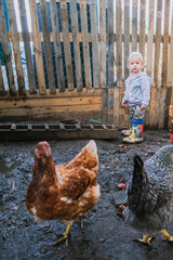 Little girl in chicken coop looking at chickens © Serg