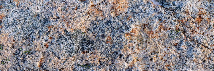 Natural texture of a stone covered with lichen. Wide panoramic background for design.