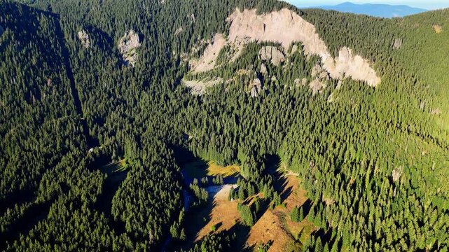 A breathtaking video of a mountain lake surrounded by tall pine trees and rocky mountains. The crystal-clear water creates a mirror-like reflection of the forest and peaks, offering a tranquil and maj