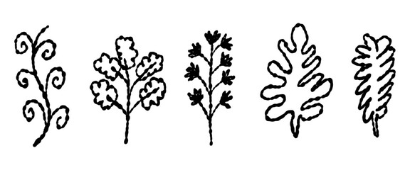 Hand drawn leaves isolated on white background in vintage style design element