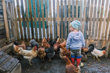 Little girl in chicken coop looking at chickens © Serg