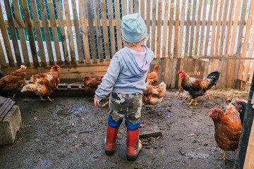 Little girl in chicken coop looking at chickens © Serg