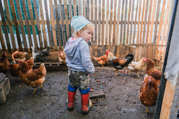 Little girl in chicken coop looking at chickens © Serg