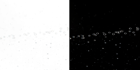 Water drops PNG isolated with dew and moisture cutout, realistic transparent droplets with clipping path, clear condensation beads overlay for freshness, rain, glass, and natural hydration design visu