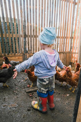 Little girl in chicken coop looking at chickens © Serg