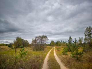 Road cuts through a field of grass and trees
