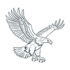 Hand drawn illustration of a majestic eagle in flight