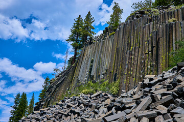 Fototapeta premium Basalt Rock Columns and Pine Trees at Devils Postpile California Under Blue Sky