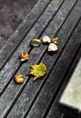 Abstract background with golden autumn leaves and chestnuts shells on a bench in a park