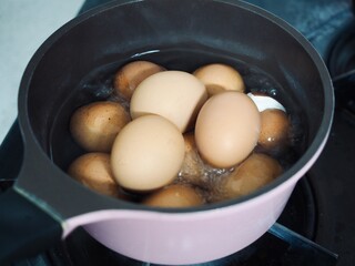 신선한 삶은 계란, 단백질, 음식