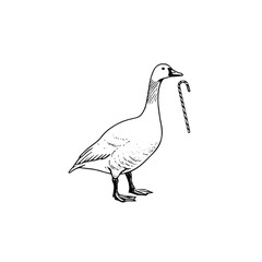 Obraz premium Illustration of a goose standing with a candy cane in its beak on a white background design element