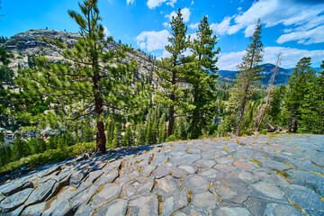 Basalt Rock Formations and Pine Trees at Devils Postpile California Sierra Mountains © Nicholas J. Klein