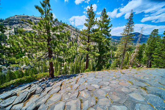 Basalt Rock Formations and Pine Trees at Devils Postpile California Sierra Mountains