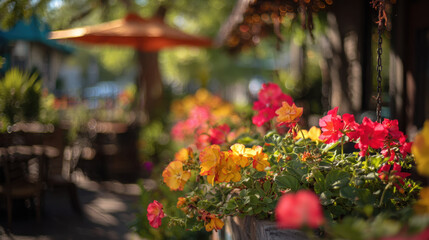 Bright flowers in vibrant colors blooming in hanging planters outside a cozy café with shaded seating areas under orange umbrellas and warm sunlight in the background.