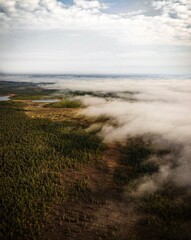 Aerial view of forest with low clouds. Drone shot of dense forest landscape covered with floating low clouds and morning fog.