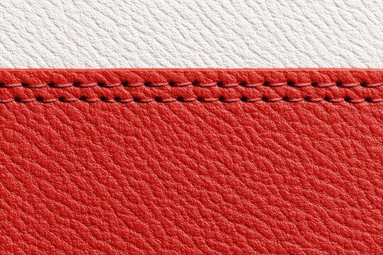 Close-up of red and white leather texture with stitching