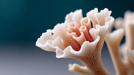 Close-up of coral polyps opening and closing with ocean tide dynamics