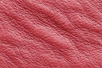 Close-up of textured crimson leather