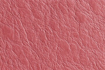 Textured, pinkish-red surface