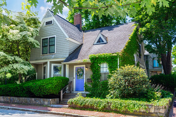 Charming ivy-covered family house with a blue front door and lush greenery in Boston, Massachusetts, USA
