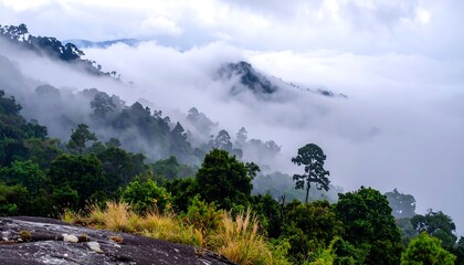 Misty mountain range with lush vegetation