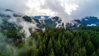 Misty mountain landscape