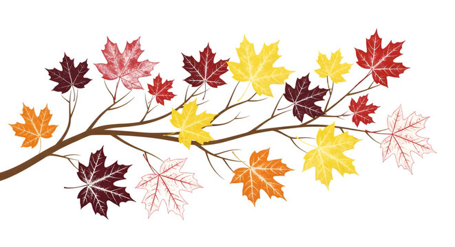 Autumn branch with colorful falling maple leaves isolated on transparent background