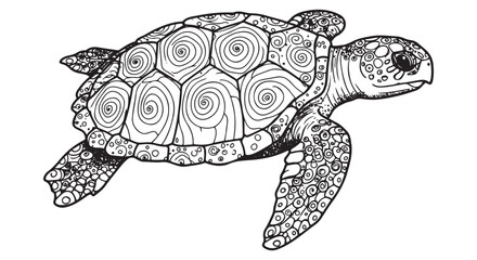  Detailed Sea Turtle Outline for Coloring