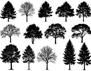 Fototapeta premium Silhouettes of various trees against white background