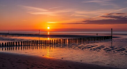 Coastal Tranquility: Golden Hour at the Beach with Wooden Breakwaters