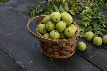 Black walnuts in a basket on rustic background, organic nuts harvest