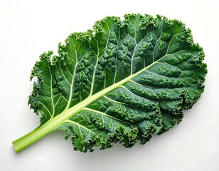 Single kale leaf, vibrant green