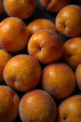 Juicy Apricot with Pit