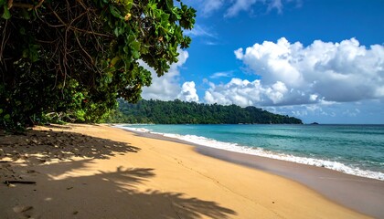 Tropical beach scene under a vibrant sky