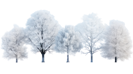 Group of white trees isolated on transparent background