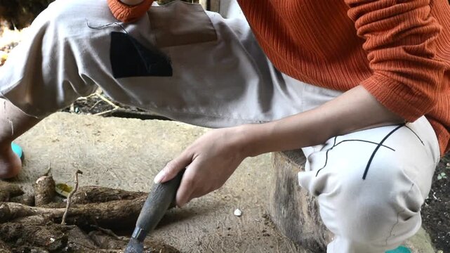 A young woman preparing cassava as the main ingredient for traditional food in a home kitchen.