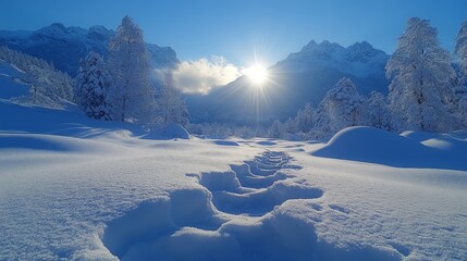 Path Through the Snow Toward the Bright Winter Sun