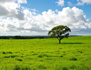 Expansive green field with lone tree under a partly cloudy sky