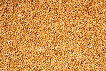 金ごま（生ごま）のクローズアップ