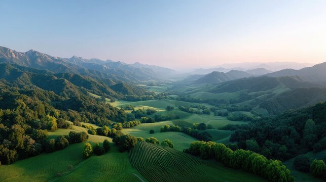 Aerial View of Lush Green Vineyard Landscape on Rolling Hills with Cinematic HDR Lighting in Gentle Morning Haze