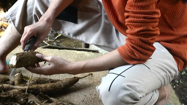 A young woman preparing cassava as the main ingredient for traditional food in a home kitchen.