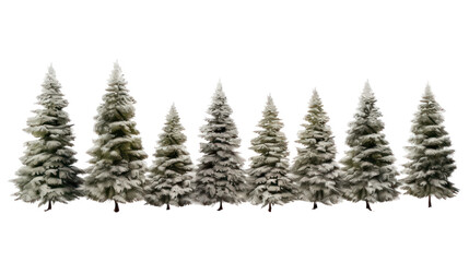 A row of flocked pine trees isolated on transparent background