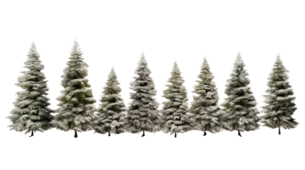 A row of flocked pine trees isolated on transparent background