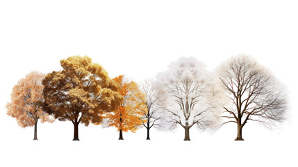 Four stylized trees with colorful foliage isolated on transparent background