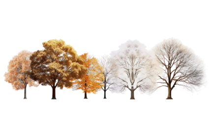 Four stylized trees with colorful foliage isolated on transparent background
