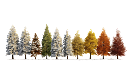 Collection of colorful stylized christmas trees isolated on transparent background