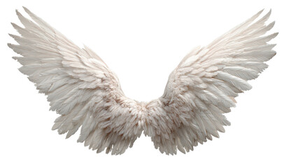 Obraz premium A pair of white angel wings with detailed feather texture.